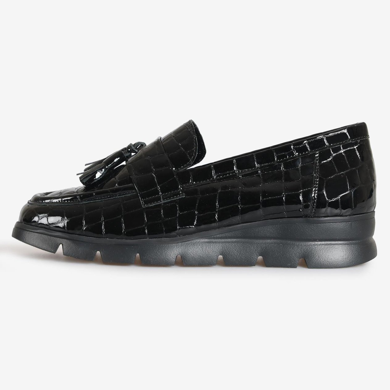 Siyah RuganPüsküllü Kadın Loafer