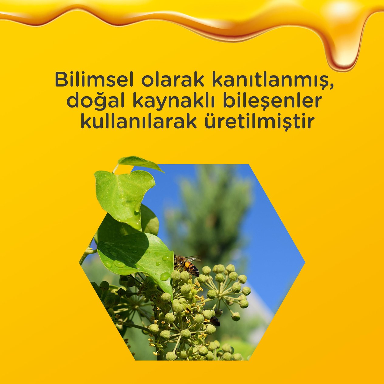Takviye Edici GıdalarZarbee'sZarbee's Öksürük ve Boğaz Ağrısı Şurubu