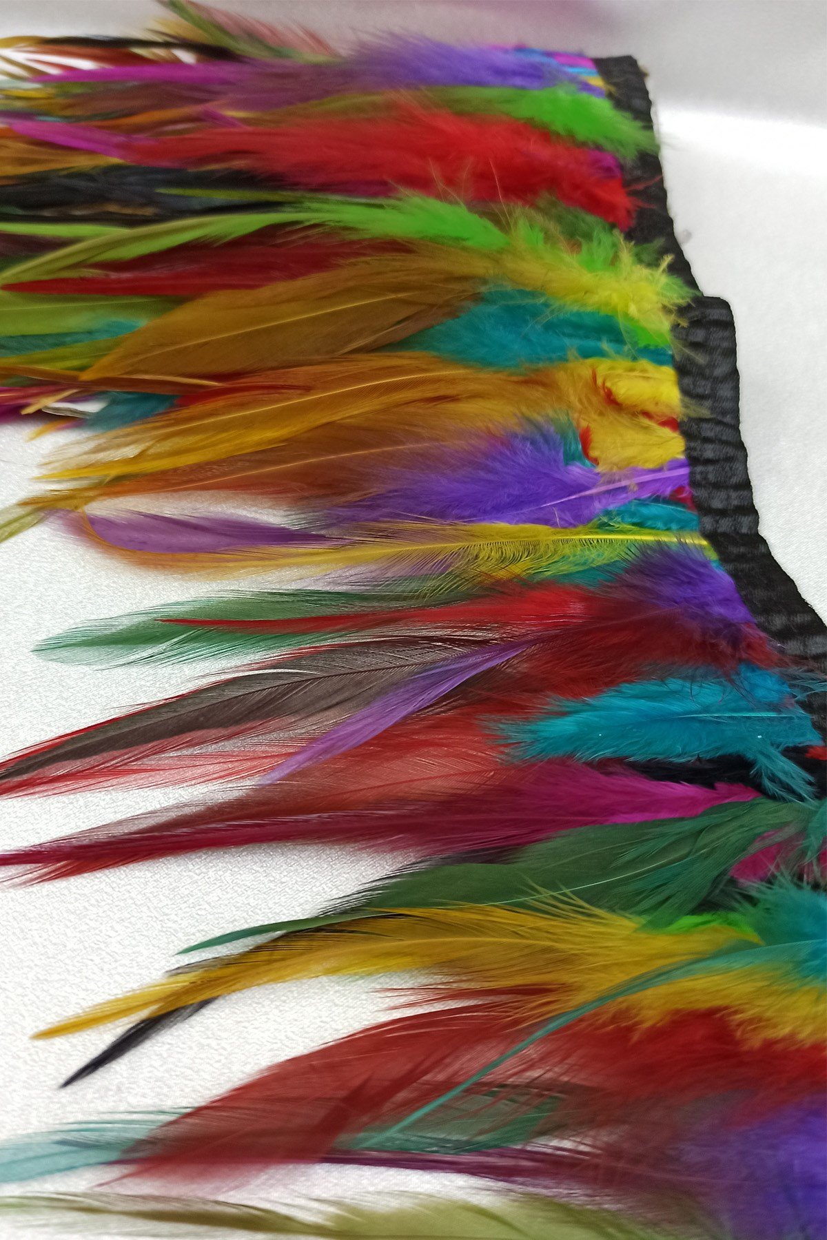 Colorful Rooster Feather