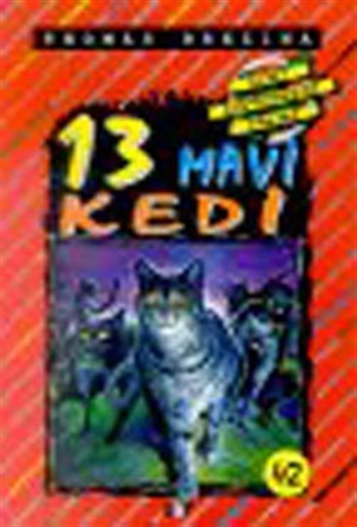13 Mavi Kedi