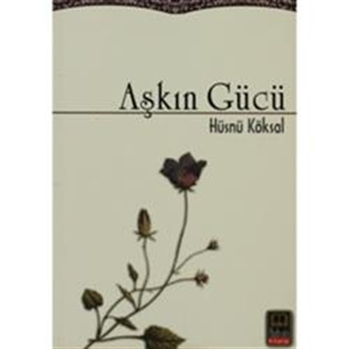 Aşkın Gücü