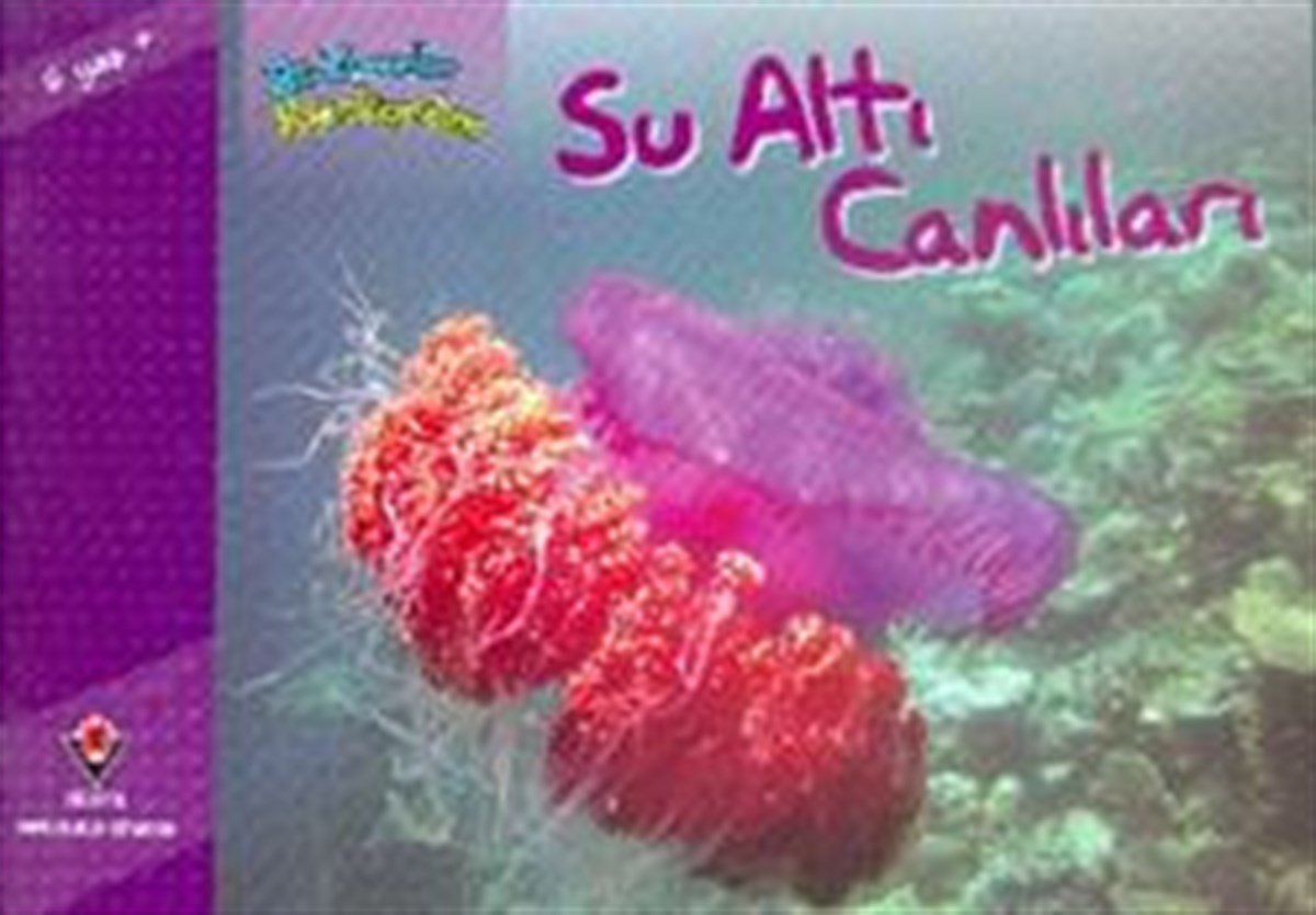 Bir Zamanlar Korkardım - Su Altı Canlıları