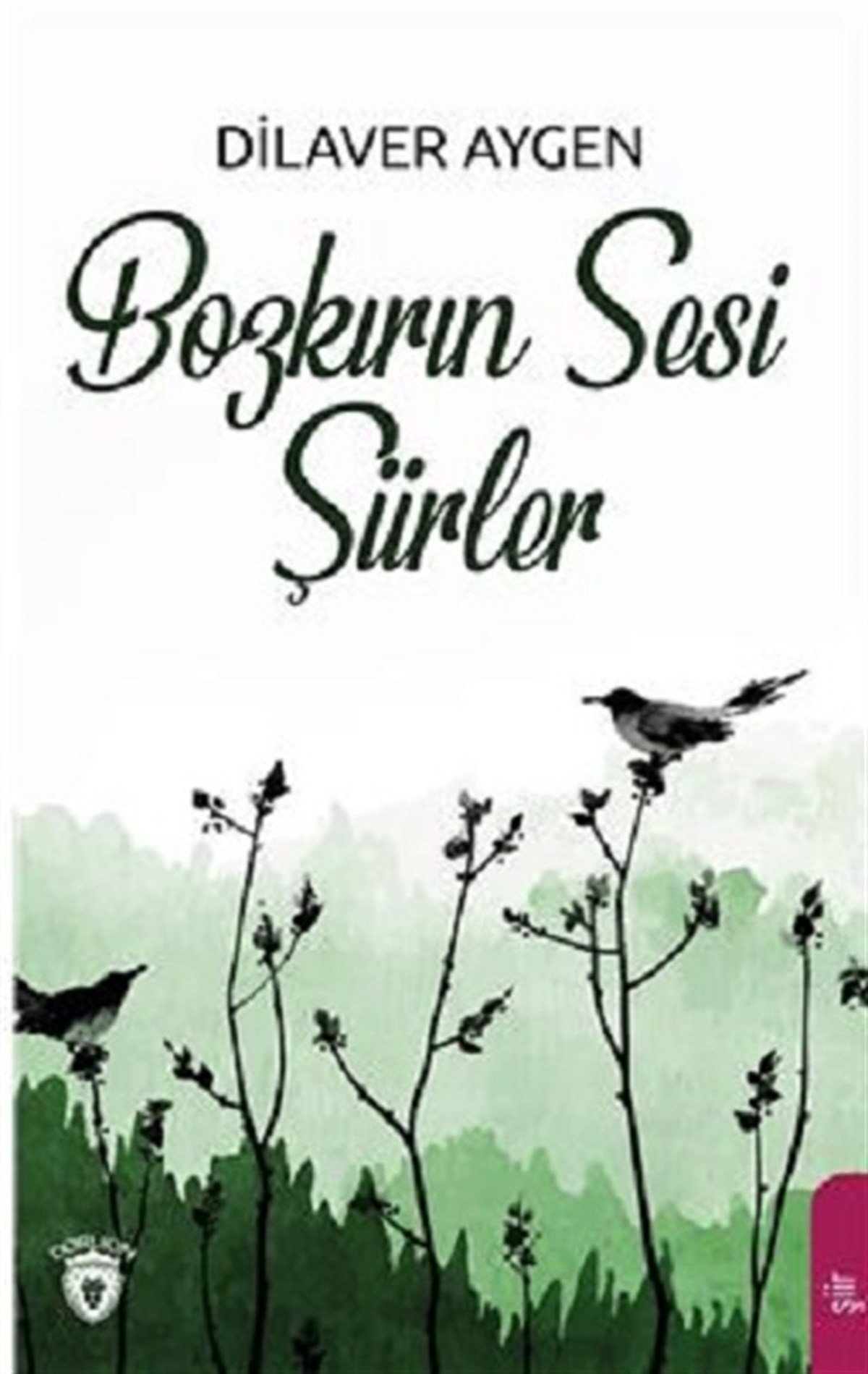 Bozkırın Sesi Şiirler