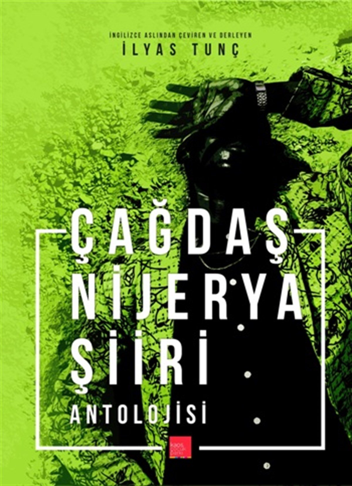 Çağdaş Nijerya Şiiri Antolojisi
