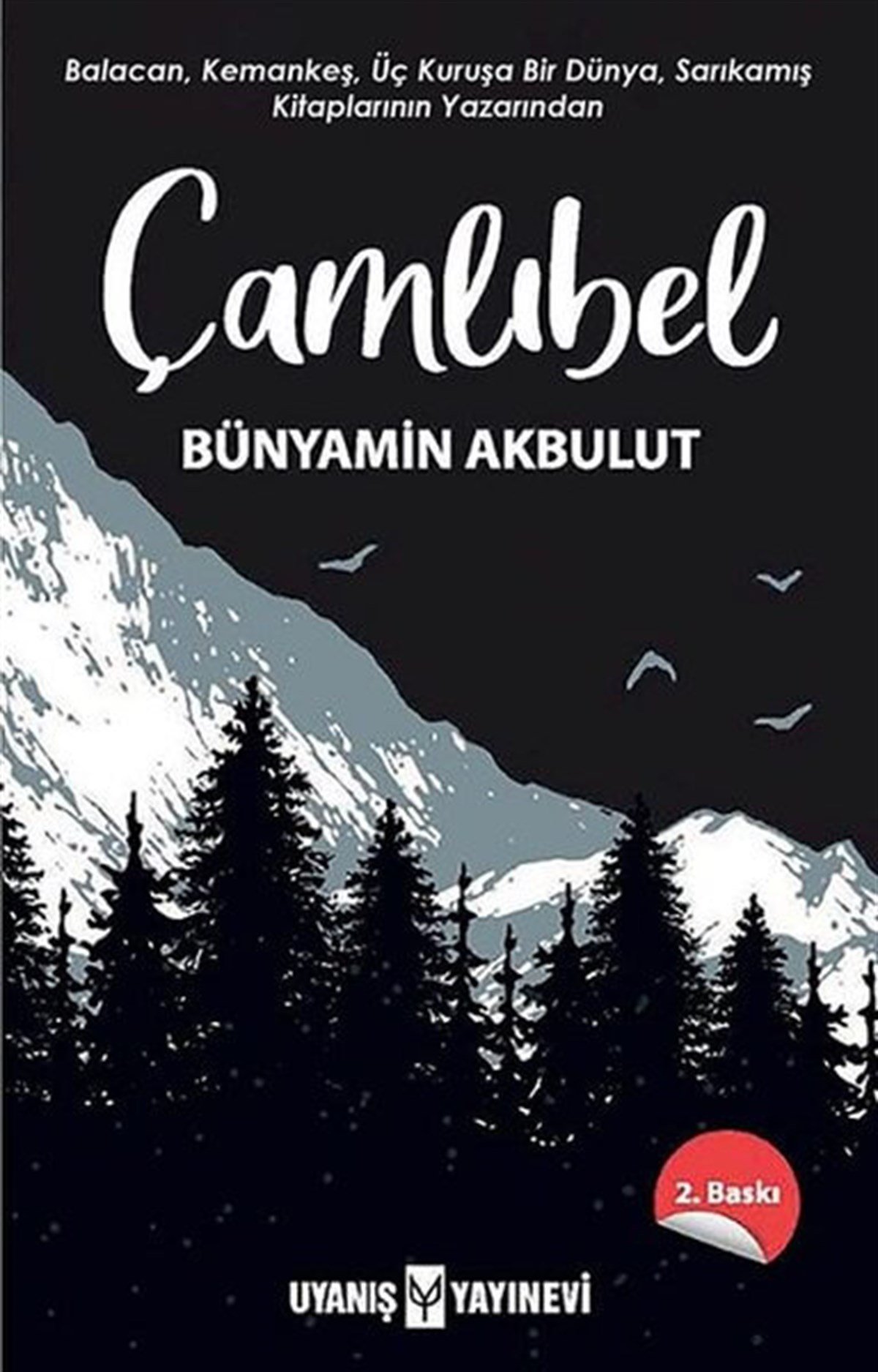 Çamlıbel , Bünyamin Akbulut , Uyanış Yayınevi , 9786257175067 ,