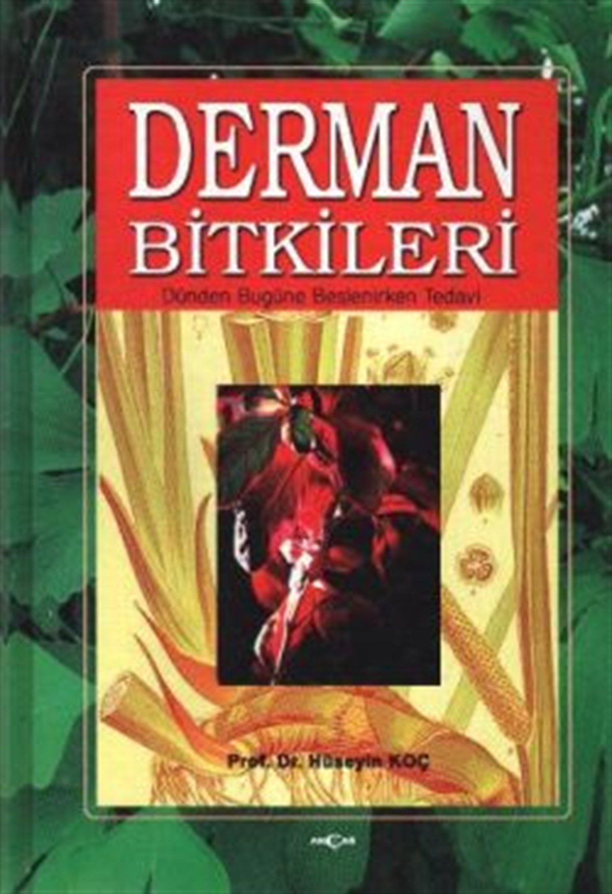 Derman Bitkileri  Dünden Bugüne Beslenirken Tedavi