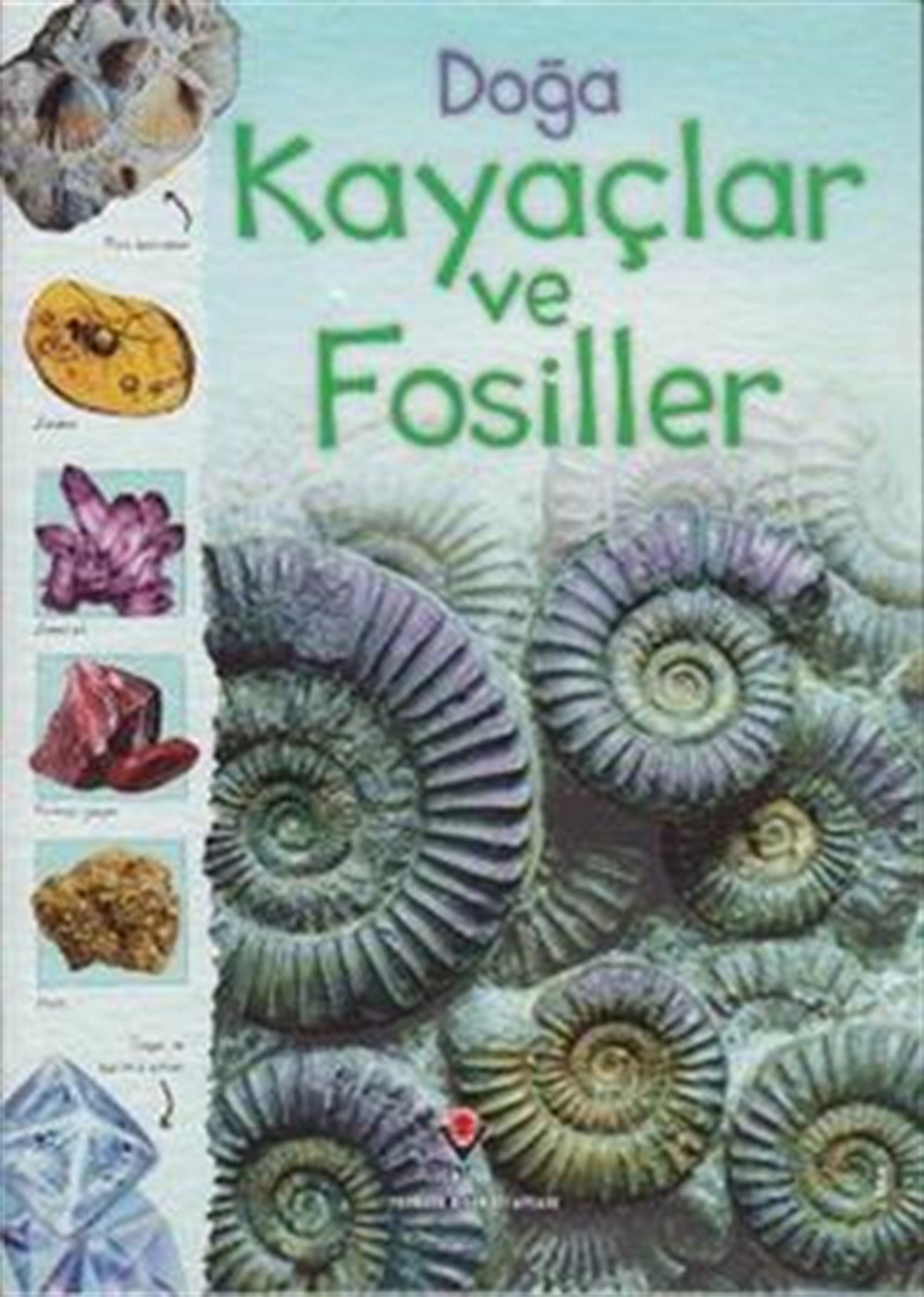 Doğa: Kayaçlar ve Fosiller