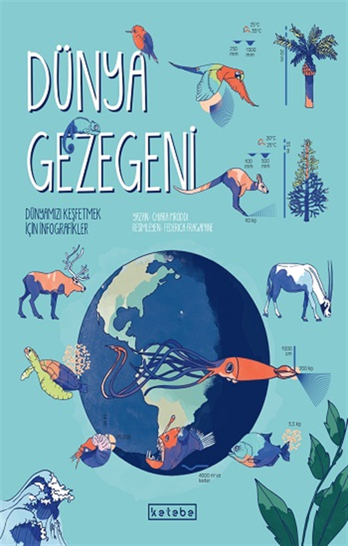 Dünya Gezegeni (Ciltli)