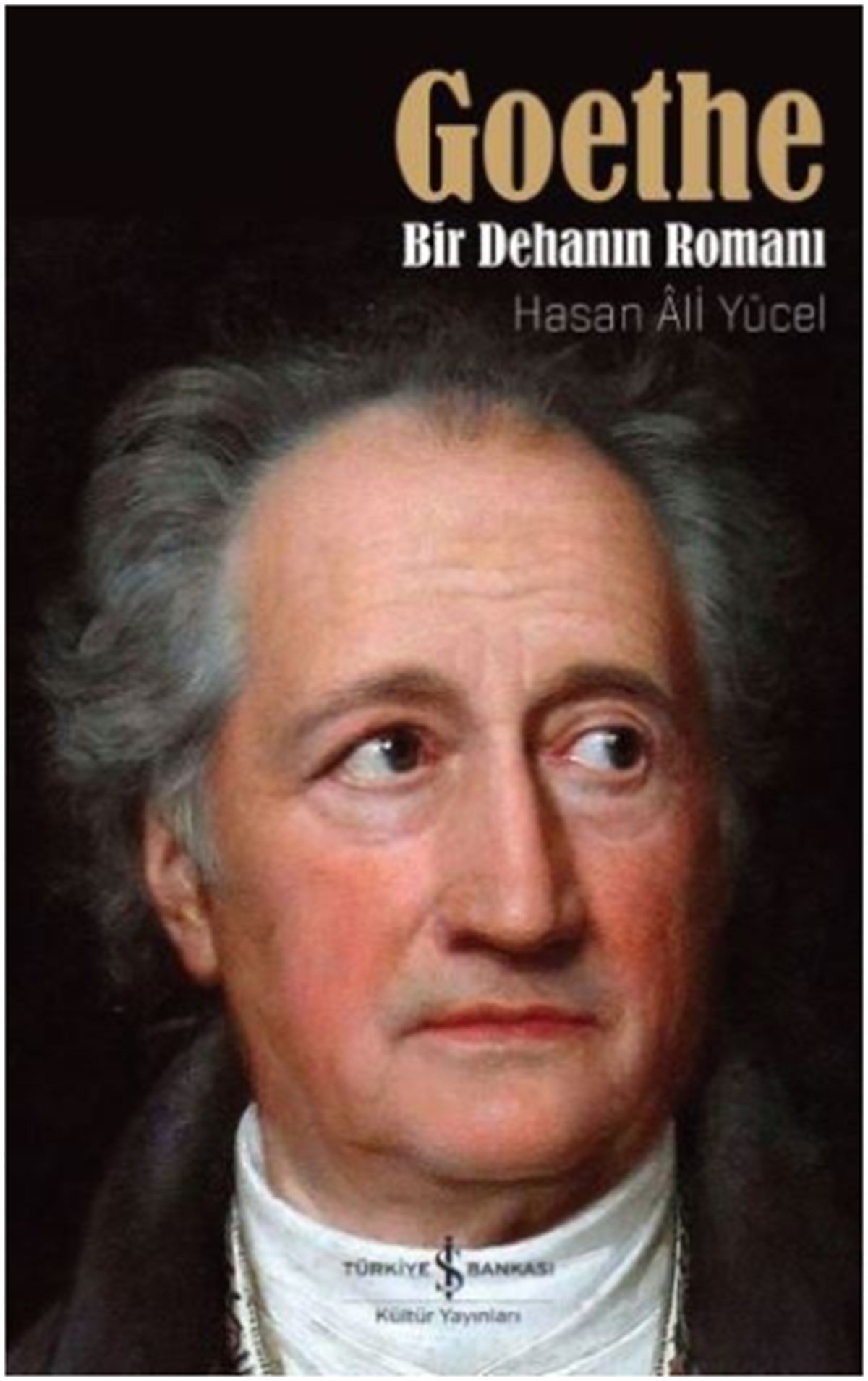 Goethe - Bir Dehanın Romanı