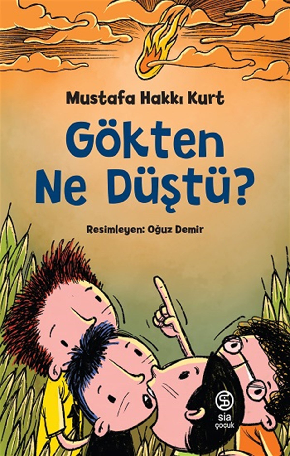 Gökten Ne Düştü ?