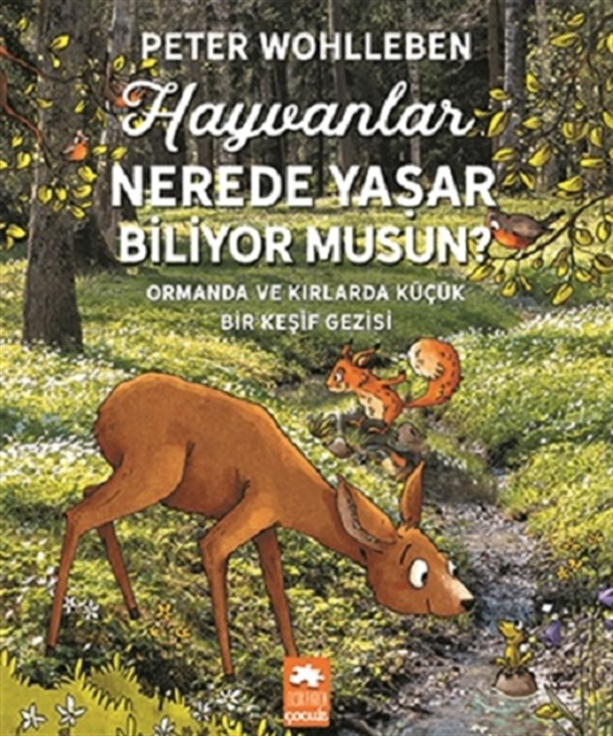 Hayvanlar Nerede Yaşar Biliyor Musun?