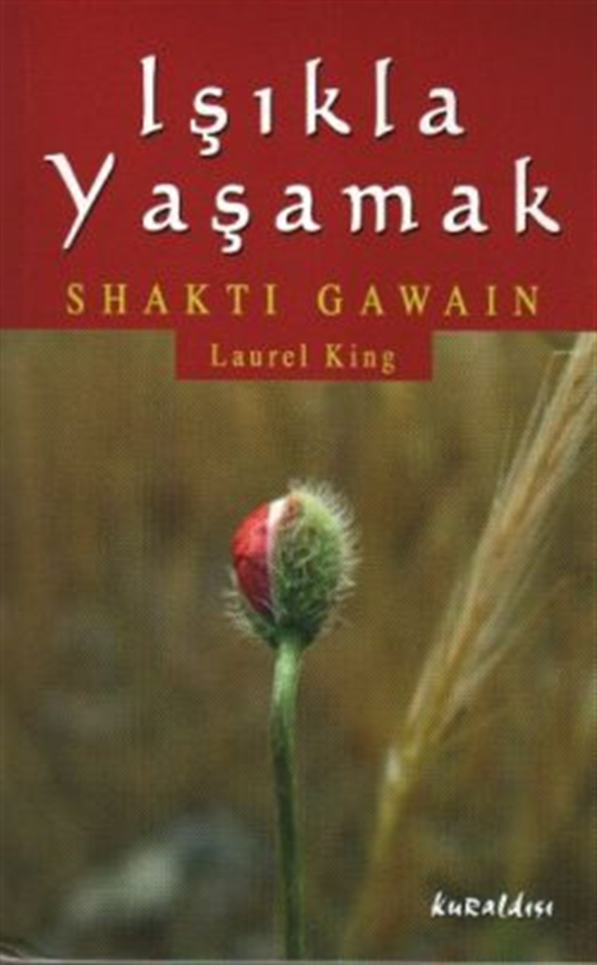 Işıkla Yaşamak