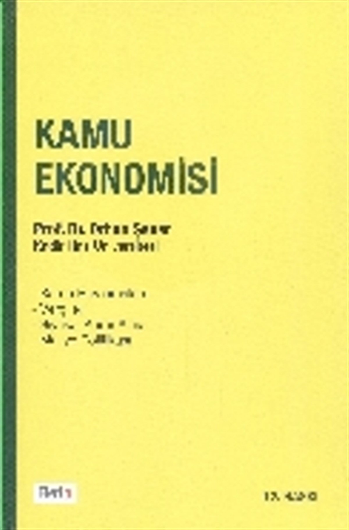 Kamu Ekonomisi