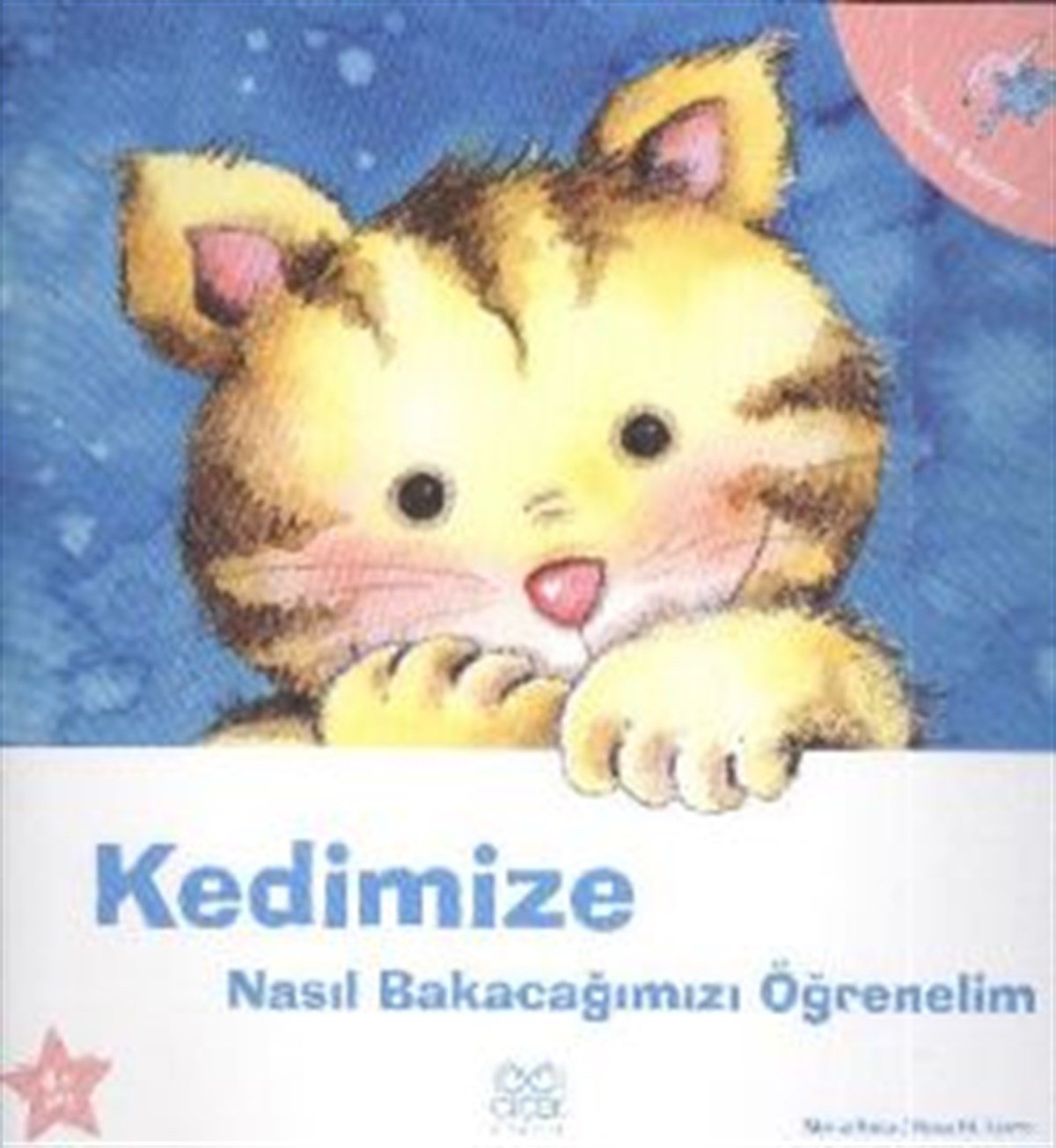 Kedimize Nasıl Bakacağımızı Öğrenelim