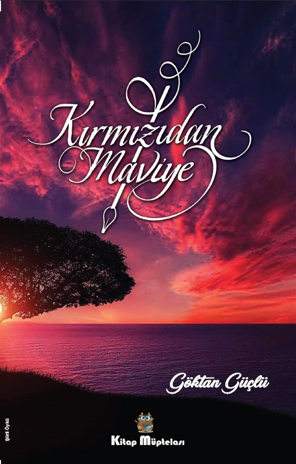 Kırmızıdan Maviye , Göktan Güçlü , Kitap Müptelası Yayınları , 9786258176483 ,