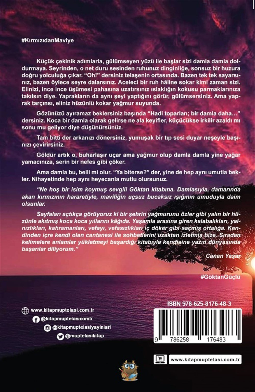 Kırmızıdan Maviye , Göktan Güçlü , Kitap Müptelası Yayınları , 9786258176483 ,