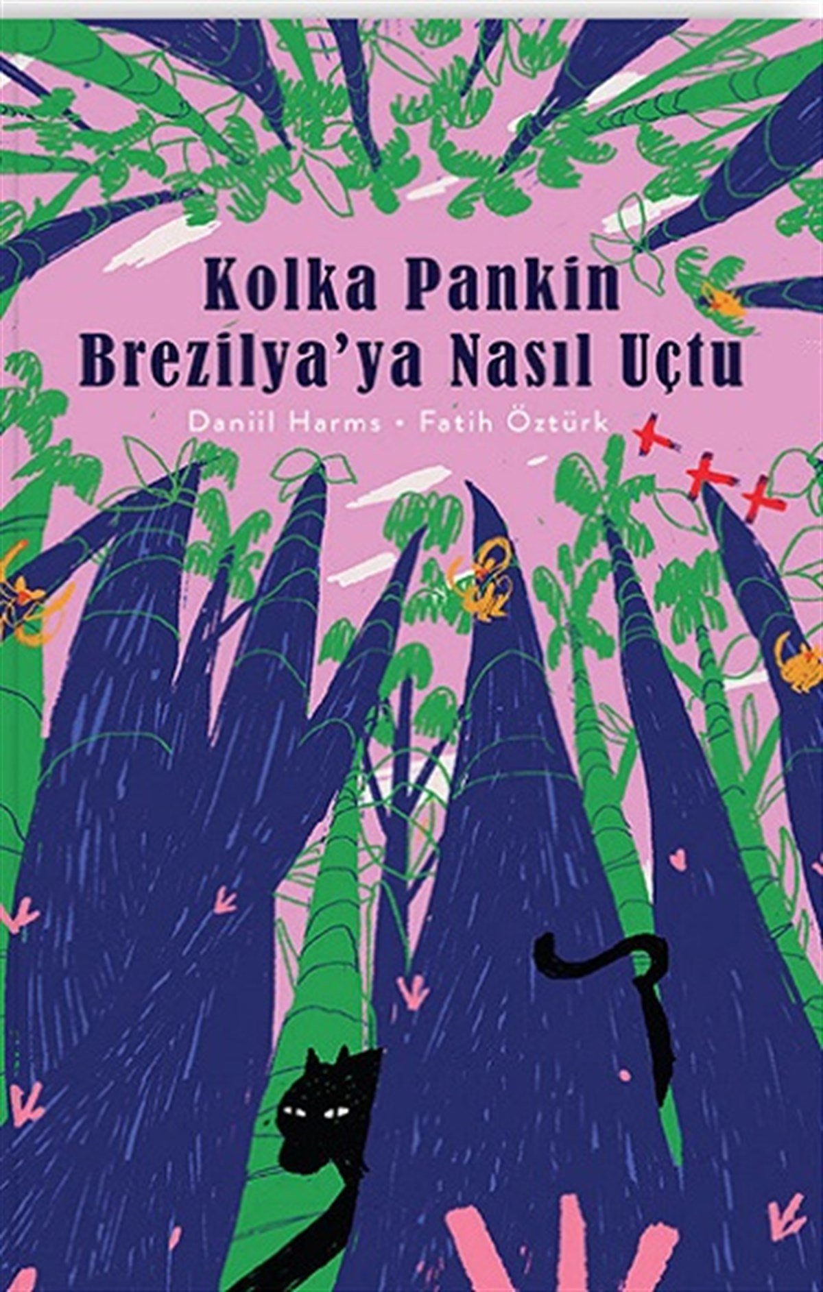 Kolka Pankin Brezilya’ya Nasıl Uçtu (Ciltli)