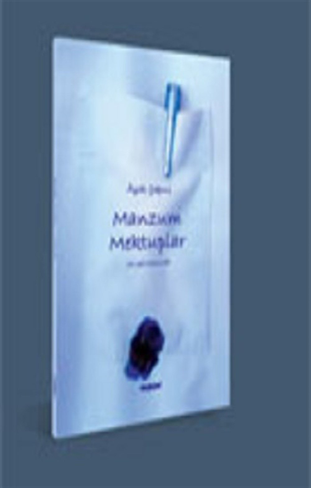 Manzum Mektuplar