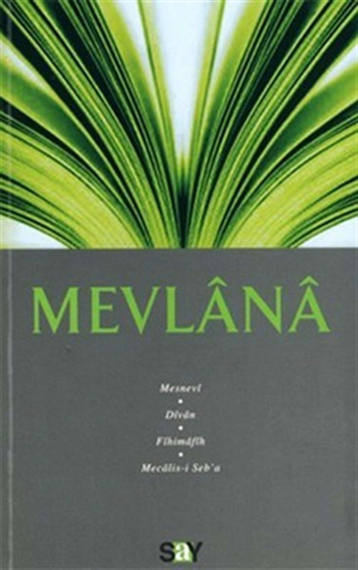 Mevlana