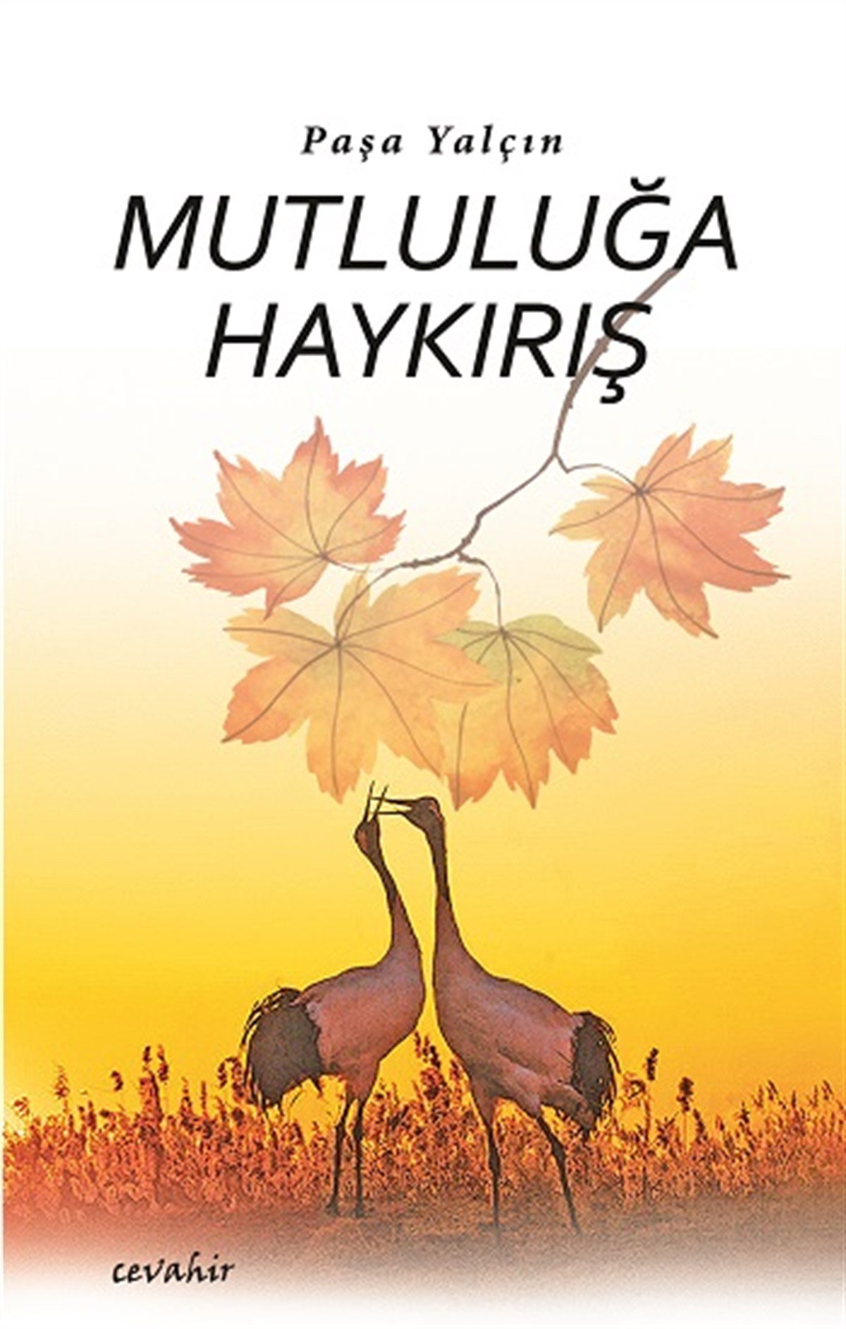 Mutluluğa Haykırış
