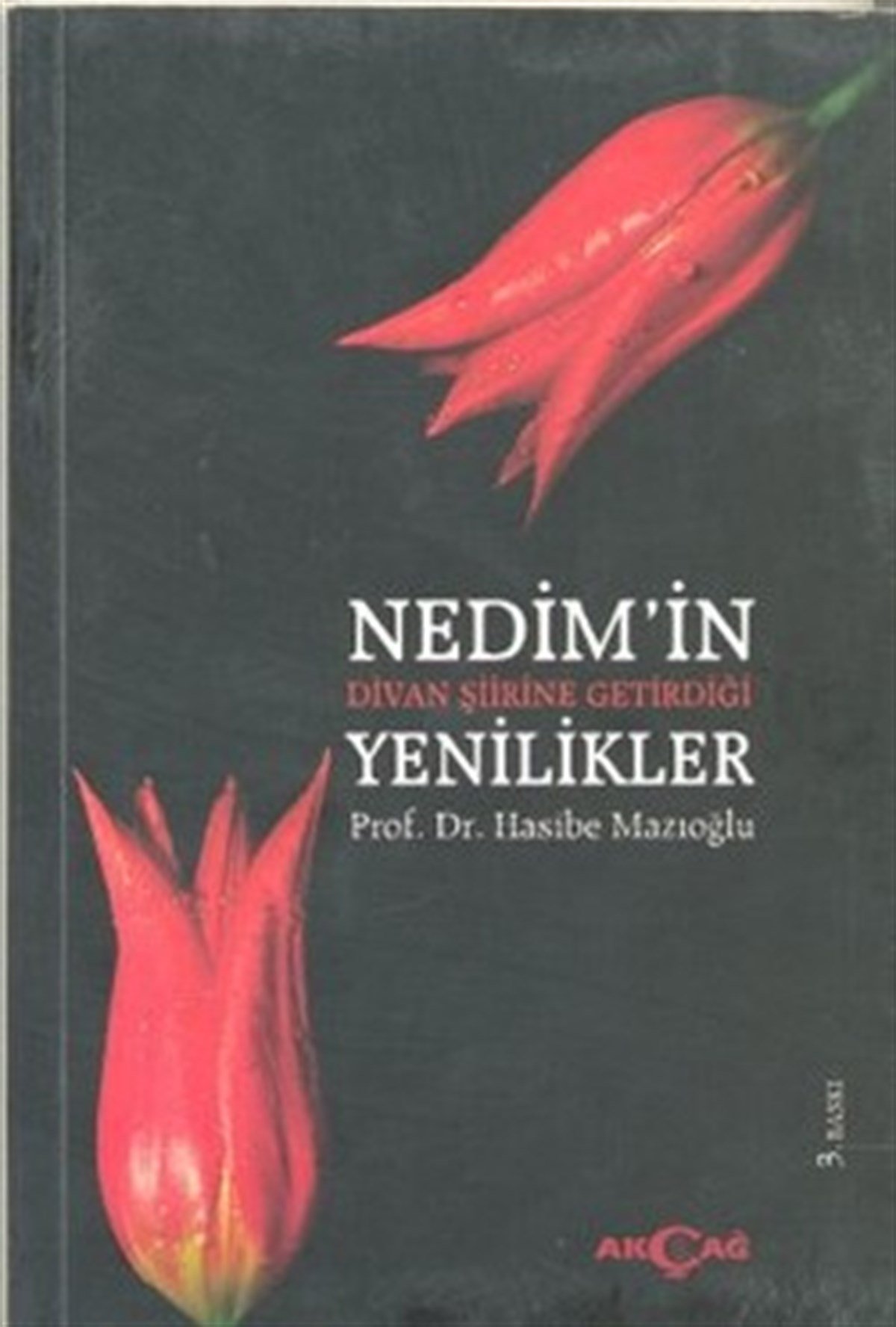 Nedim’in Divan Şiirine Getirdiği Yenilikler