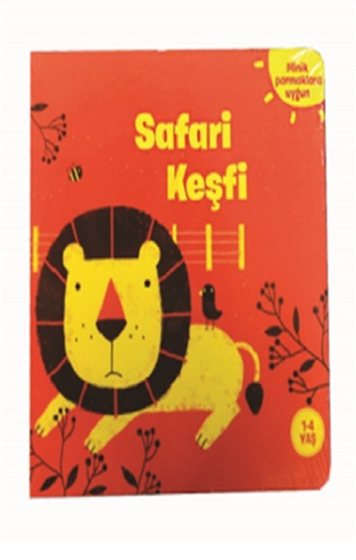 Safari Keşfi