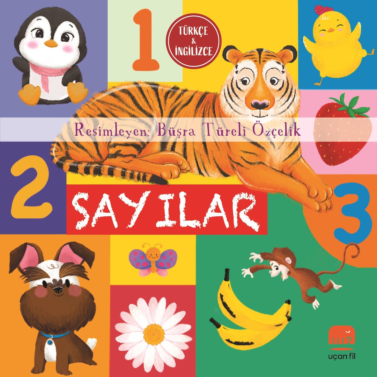Sayılar (Board Book)