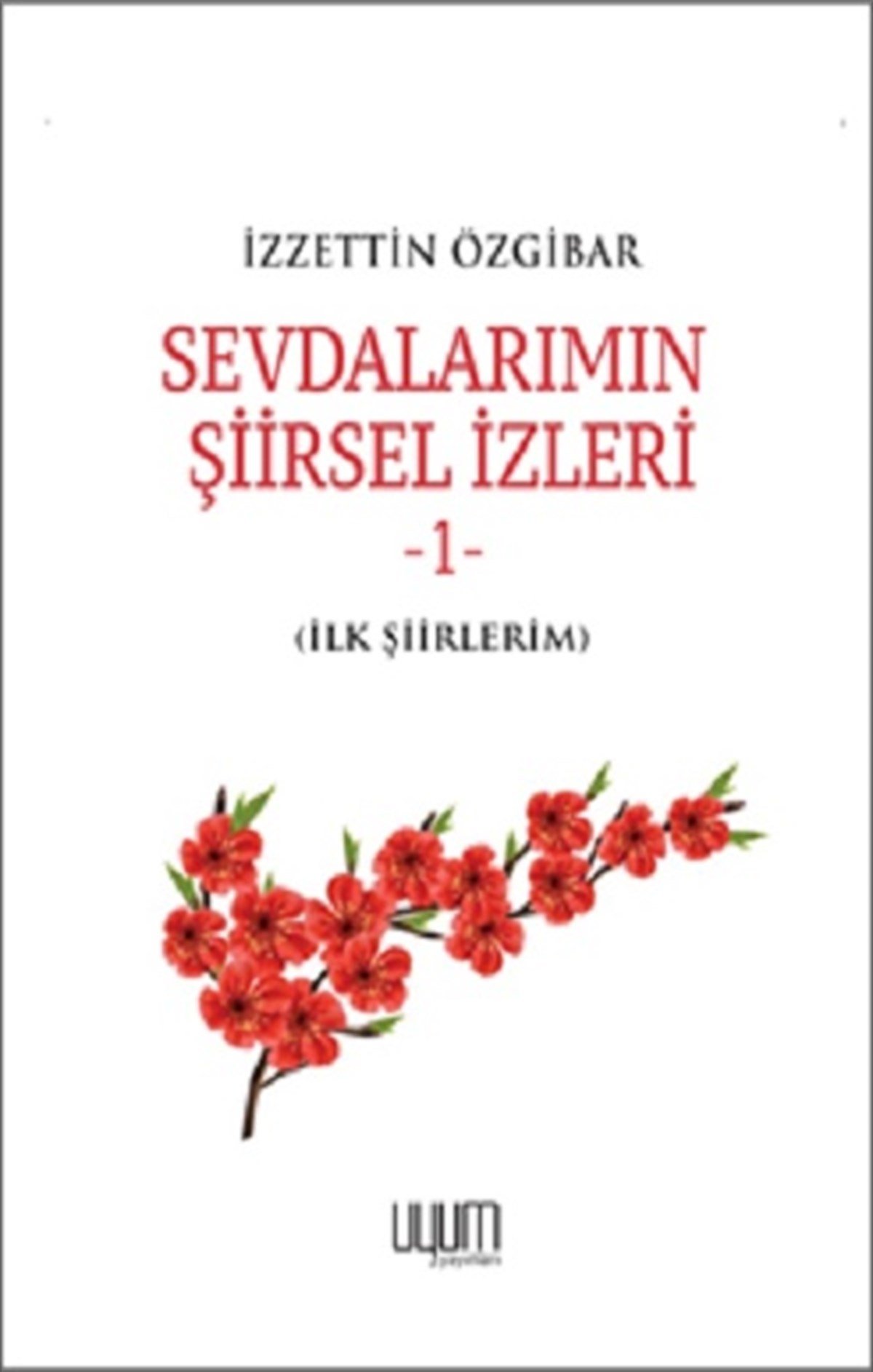 Sevdalarımın Şiirsel İzleri-1 - İlk Şiirlerim