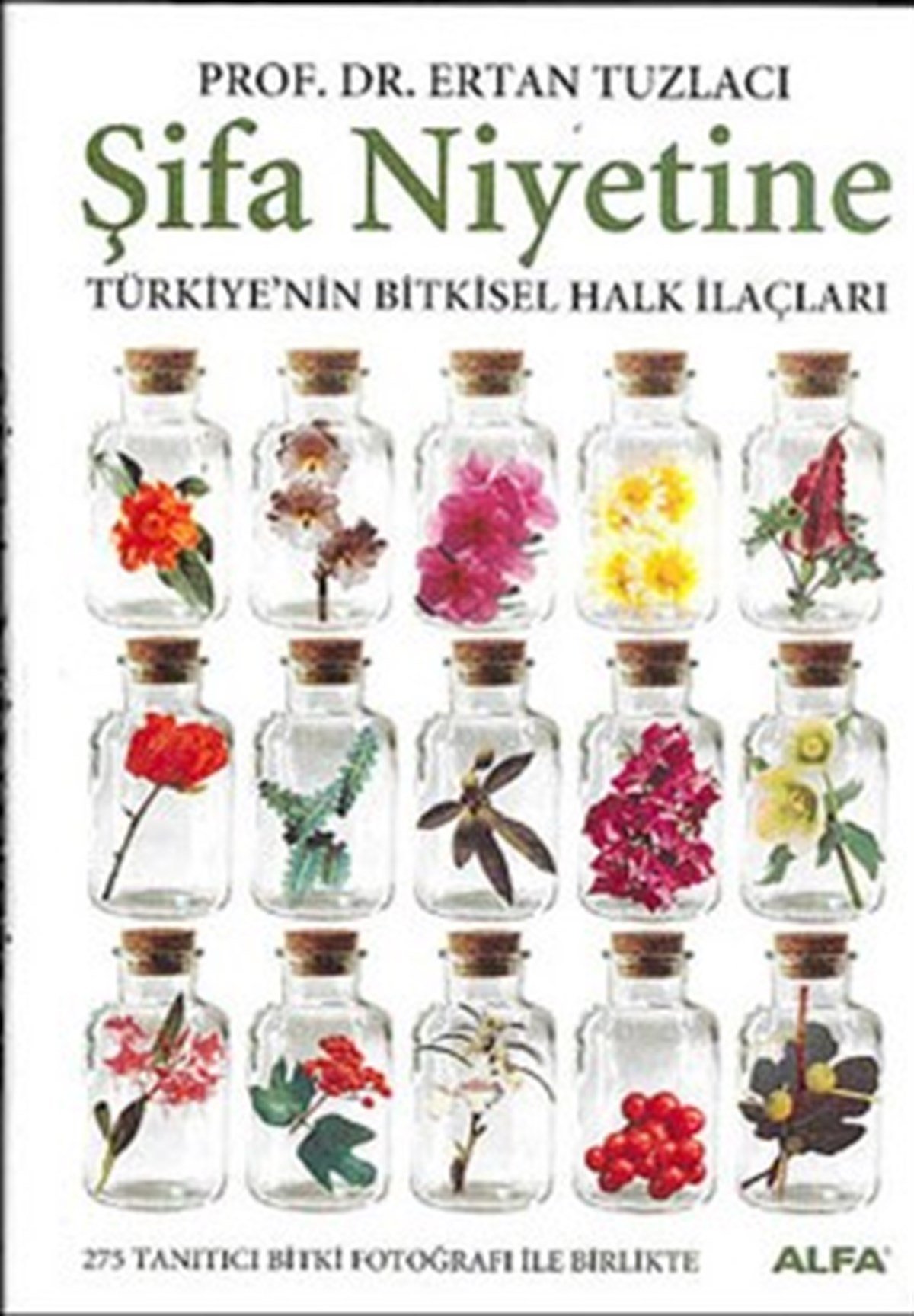 Şifa Niyetine