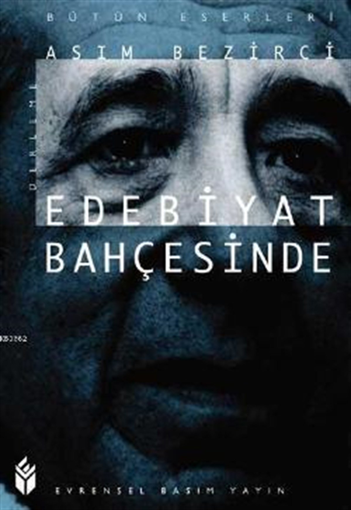 Sosyalist Açıdan Toplum, Sanat, Eleştiri
