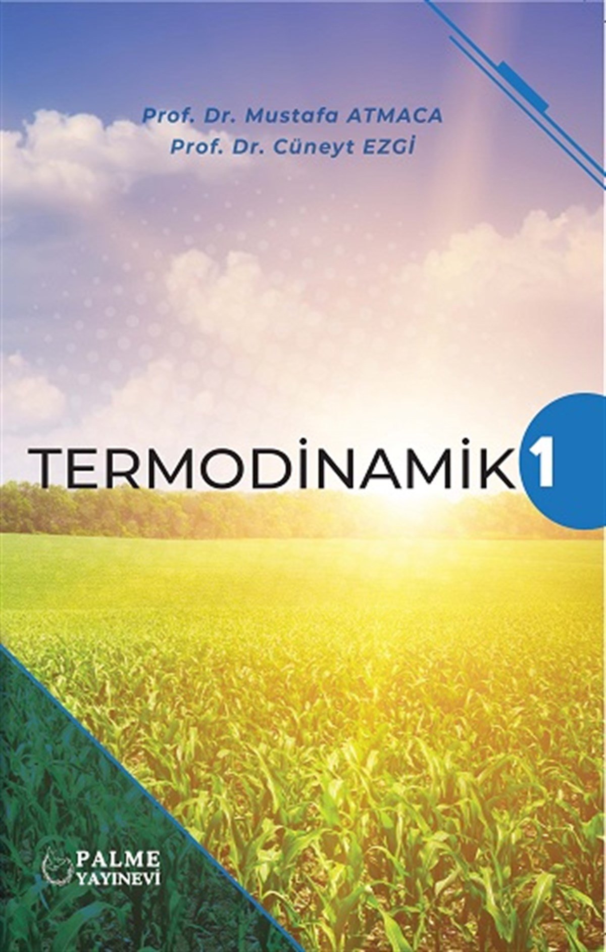 Termodinamik - 1
