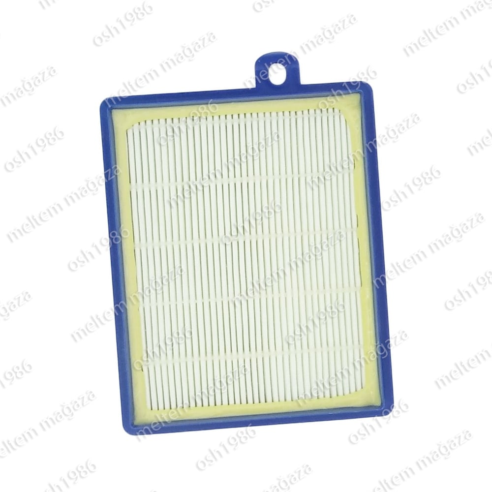 Philips FC 9226 Marathon Süpürge Hortumu TriActive Başlığı Borusu Hepa Filtre Seti (Kilit Sistemli)