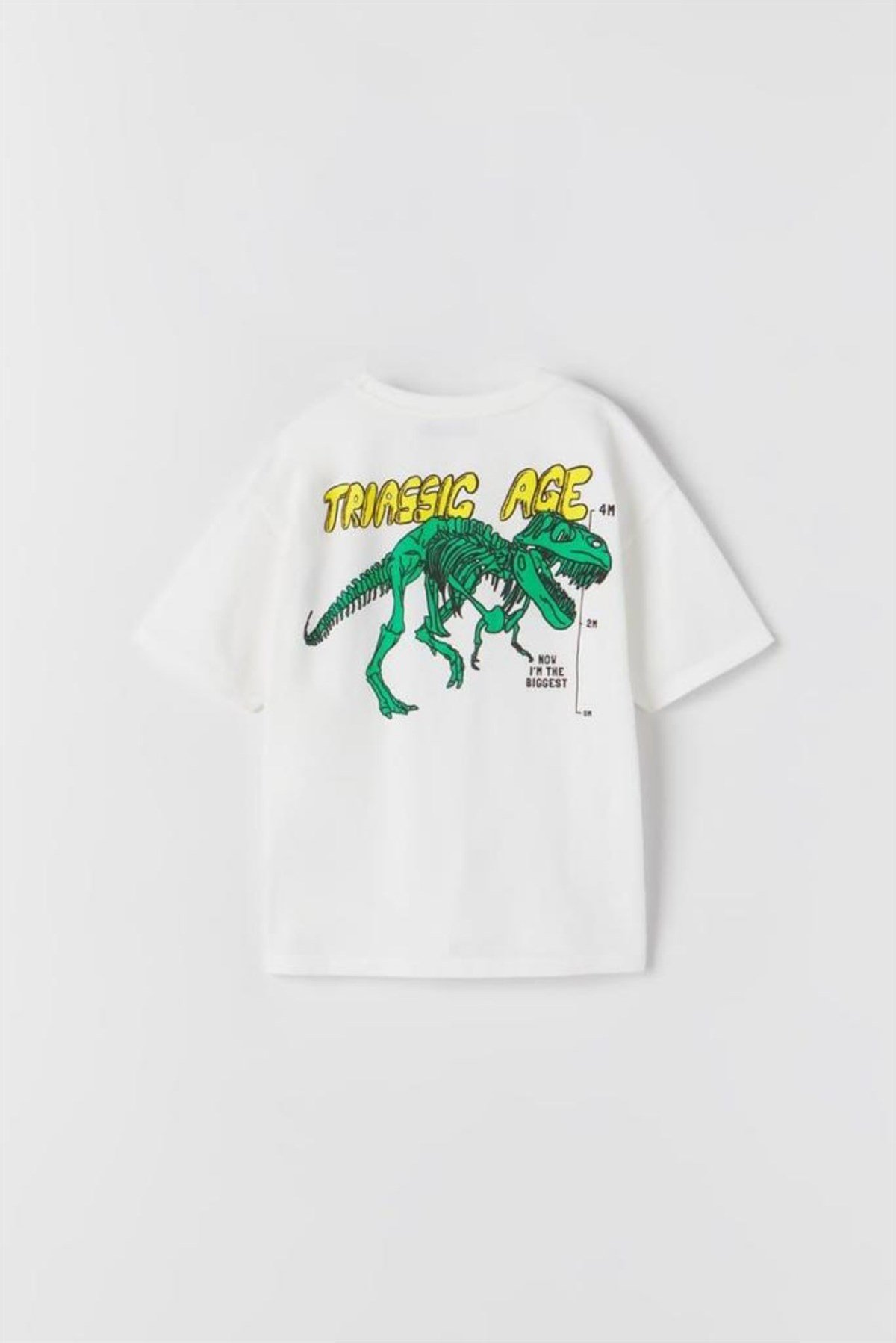 5-16 YAŞ ERKEK ÇOCUK DİNOZOR T-SHIRT EKRU