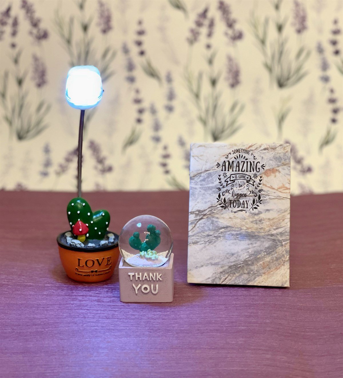  Kişiye Özel Amazing Mini Albüm Kaktüs Masa Lambası Ve Mini Kaktüs Kar Küresi Set GiftmodaGmhs100075