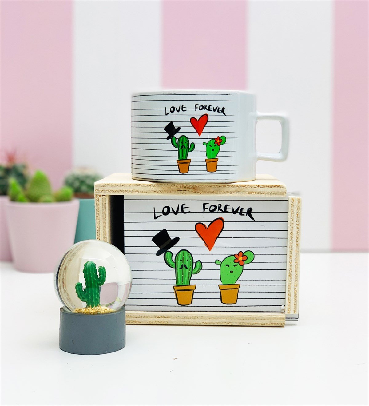Kaktüs Tasarımlı Kutulu Kupa Ve Mini Kar KüresiGiftmoda Gm-Set-120
