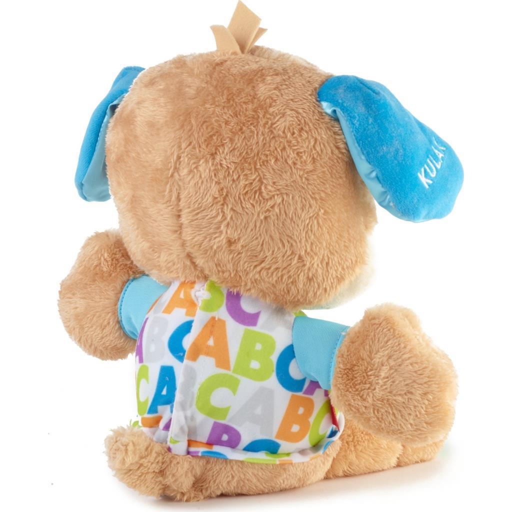 FISHER PRICEFisher Price Yaşa Göre Gelişim Eğitici Köpekçik (Türkçe) FPN79