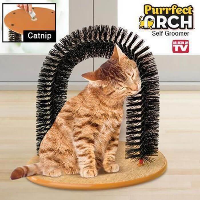 Kitty Arch Tırmalama