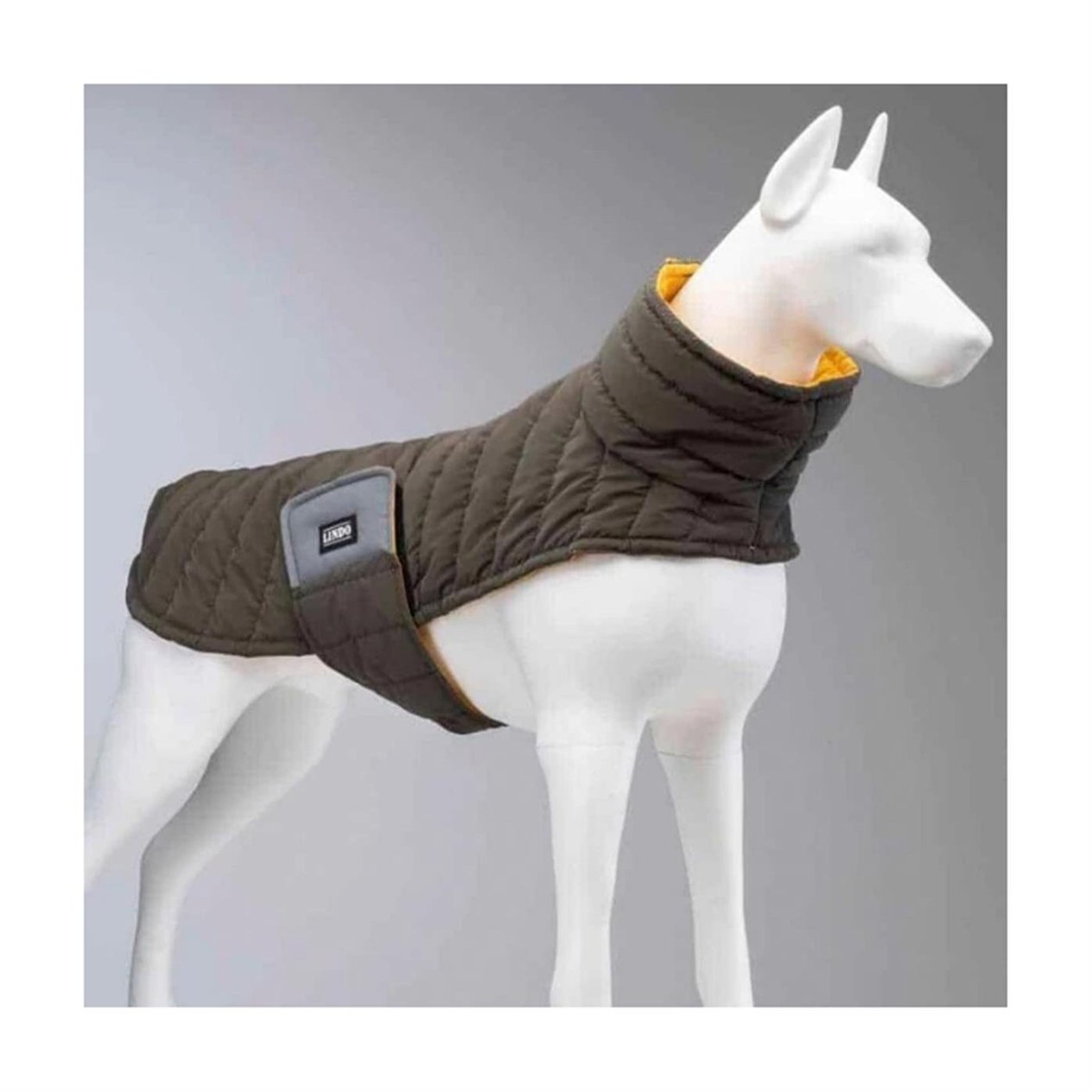 Lindo Air Puff Mango Köpek Montu Beden :1