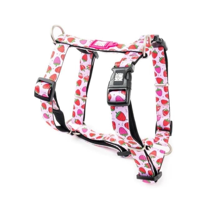 Max & Molly Strawberry Dream Köpek Göğüs Tasması M