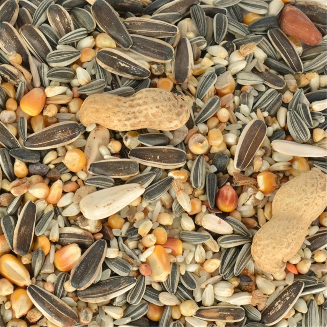 Quik Papağan Yemi 700gr