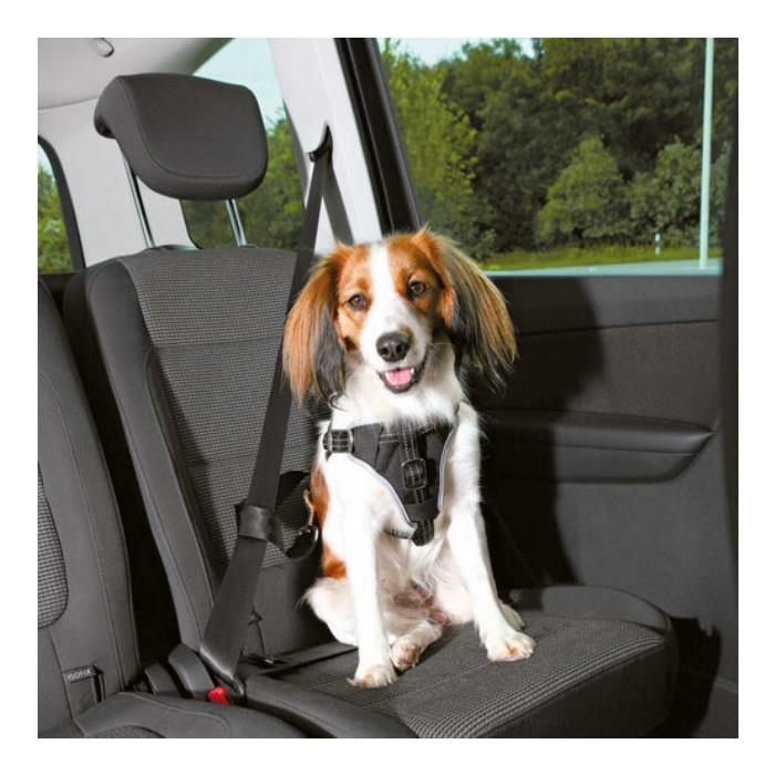 Trixie Köpek Emniyet Kemeri ve Göğüs Tasması, S-M:40-55cm/17mm, Siyah
