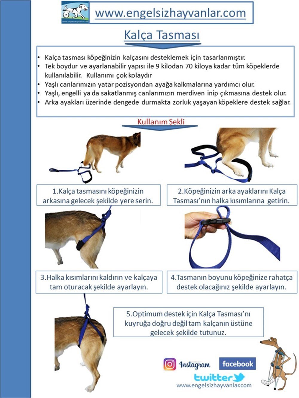 Kalça Destek Tasması