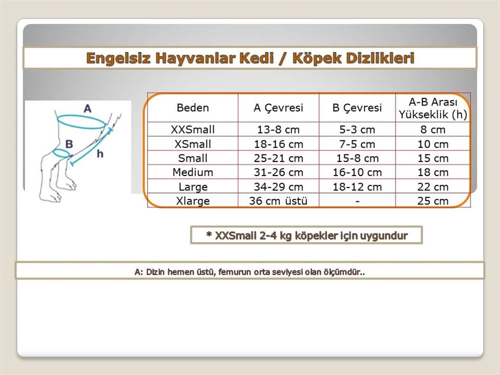 Köpek Dizlik / Kedi Dizlik