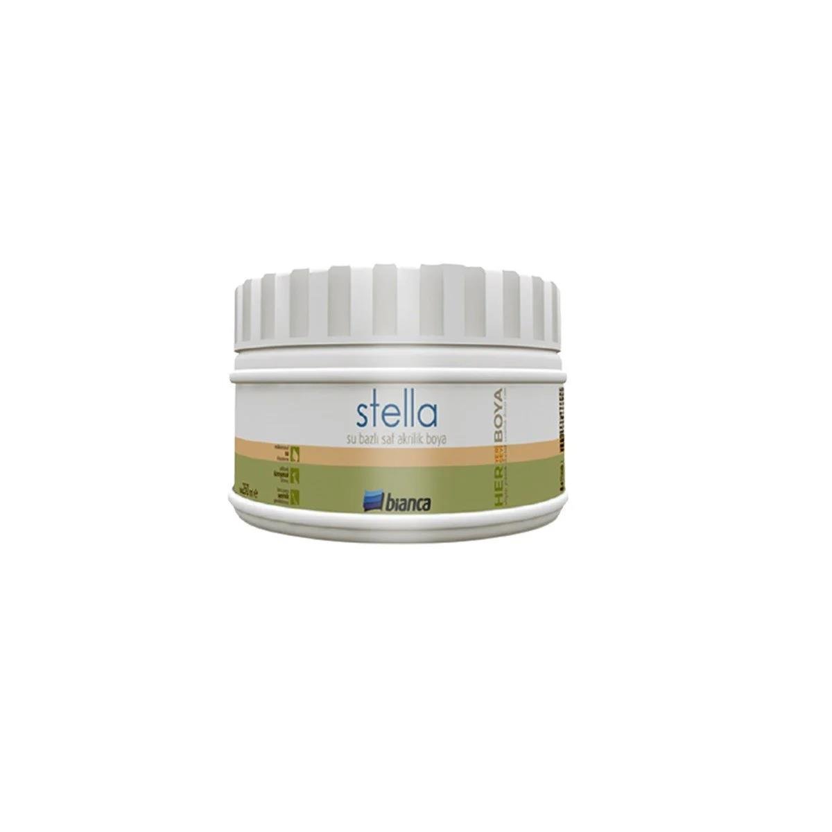 Bianca Stella Boya 0.25 LT (0700) Gümüş