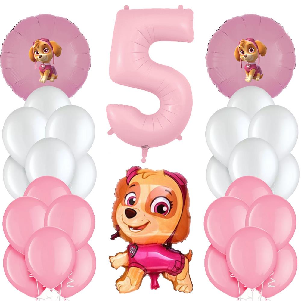 Paw Patrol Skye Pembe Doğum Günü Balon Seti