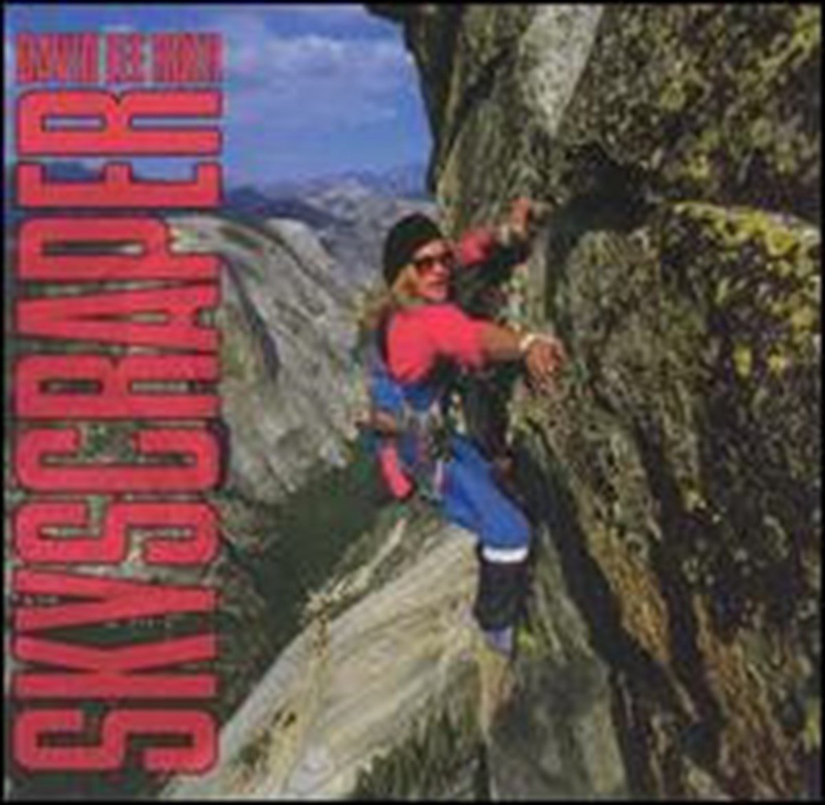 DAVID LEE ROTH - SKYSCRAPER