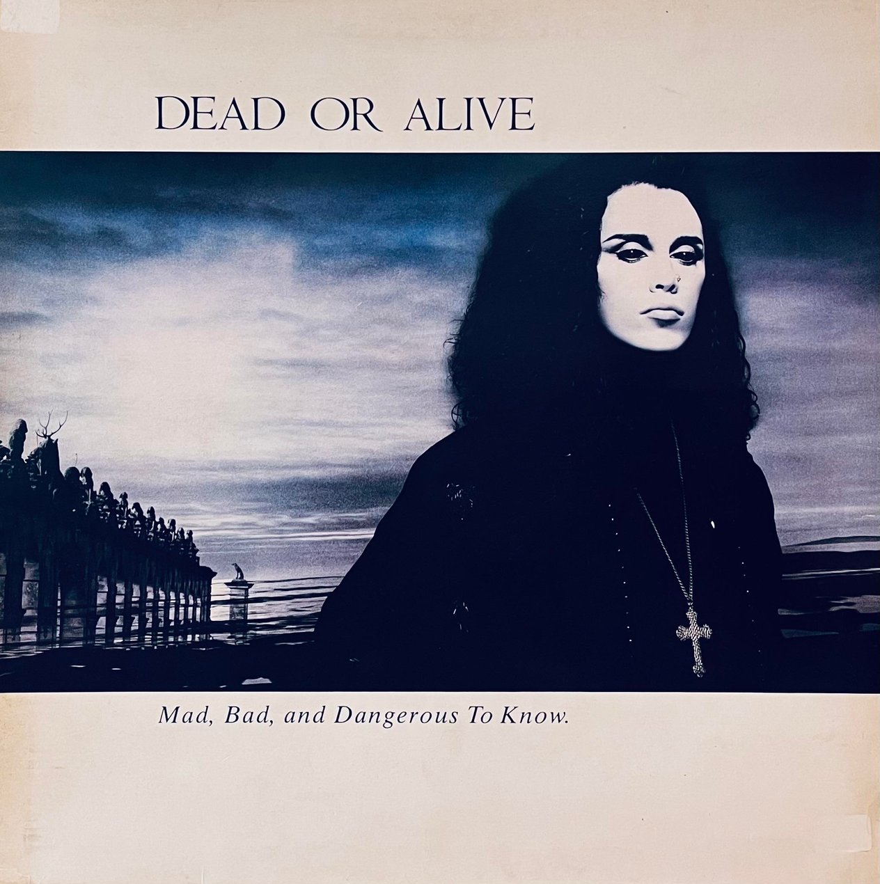 DEAD OR ALIVE  - MAD , BAD  AND DANGEROUS TO KNOW