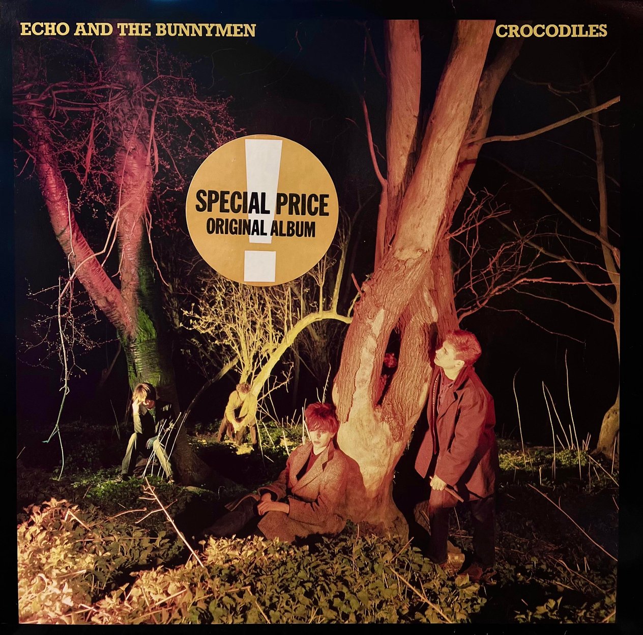ECHO AND THE BUNNYMEN - CROCODILES