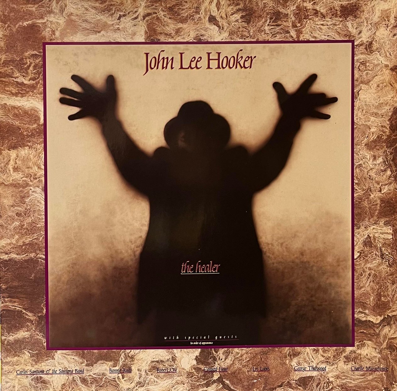 JOHN LEE HOOKER - THE HEALER