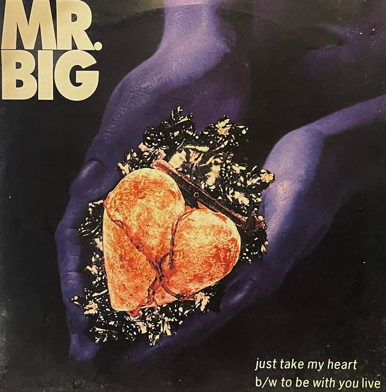 MR.BIG - JUST TAKE MY HEART / TO BE WITH YOU